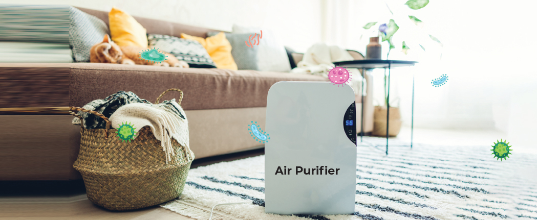 Purified Air Is Not Always Bacteria-Free